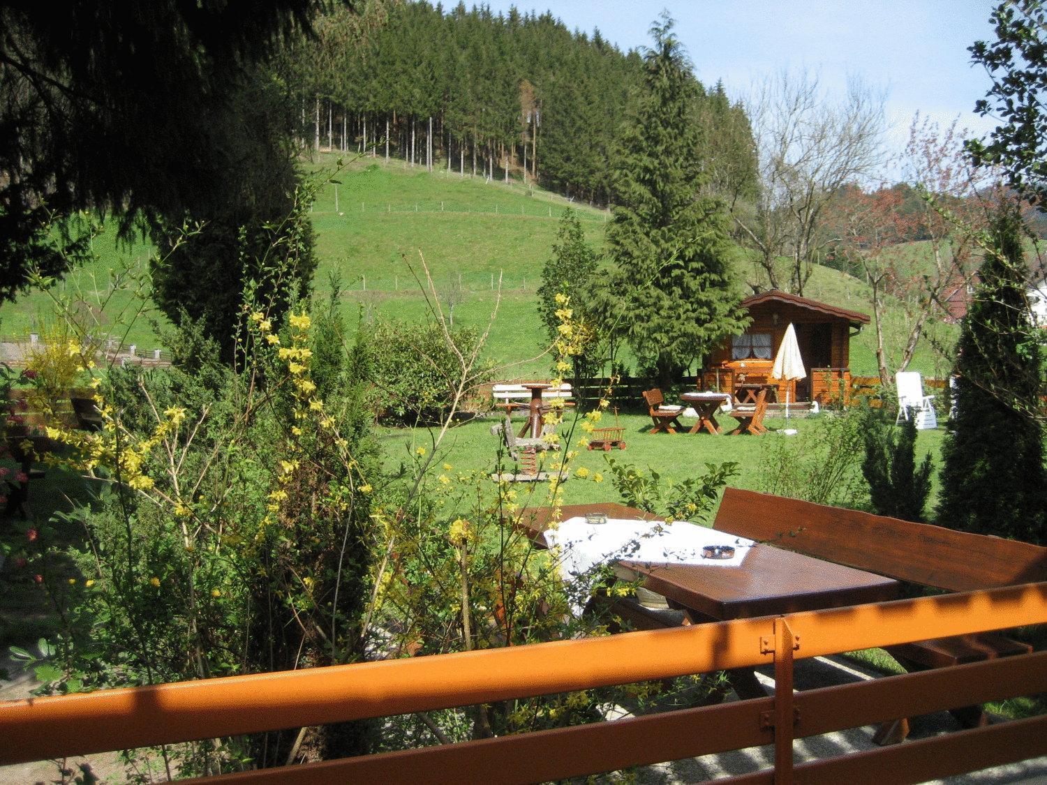 Hotel Restaurant Albans Sonne Bad Rippoldsau-Schapbach المظهر الخارجي الصورة